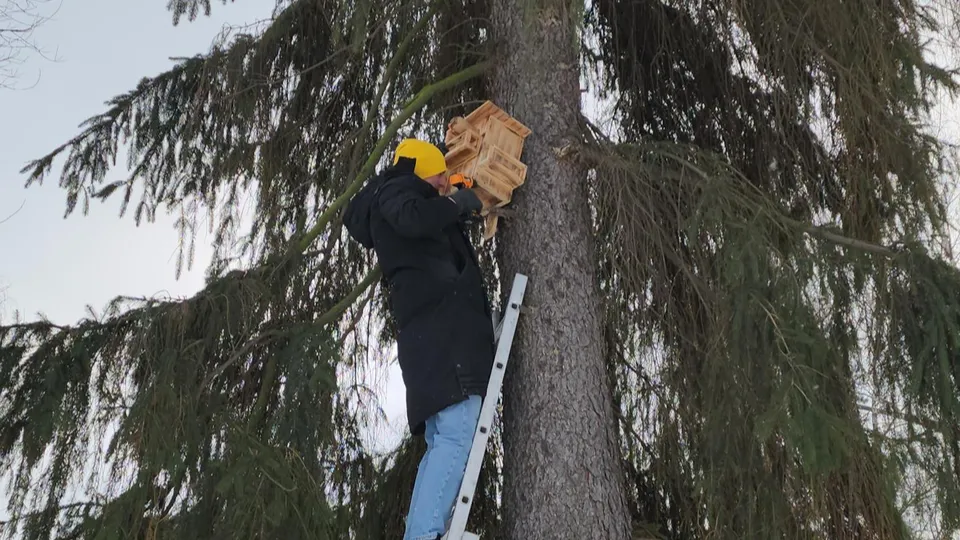 Фото: Наталья Лымарь