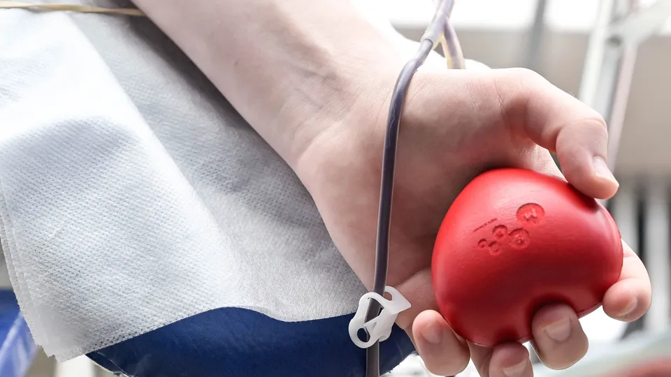 Фото: REGIONS/Наталия Надточая