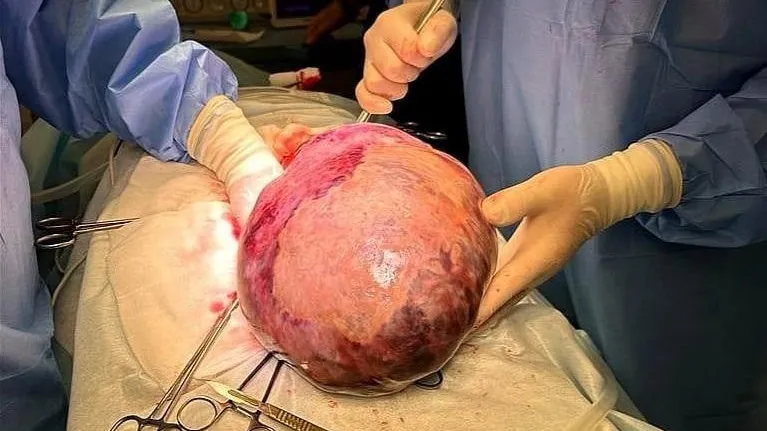 Фото: пресс-служба ДЦГБ