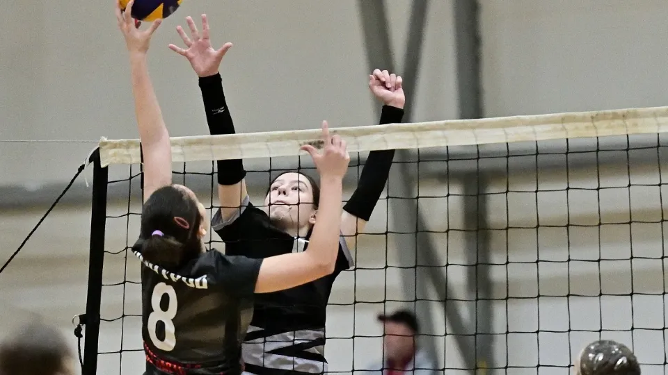 Фото: Московская областная федерация волейбола