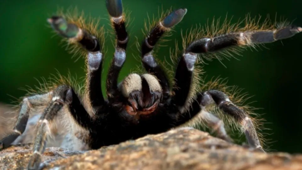 Фото: freepik.com