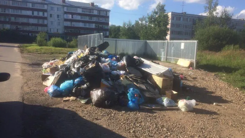 На штаб забастовки мусорщиков стал похож поселок под Сергиевым Посадом