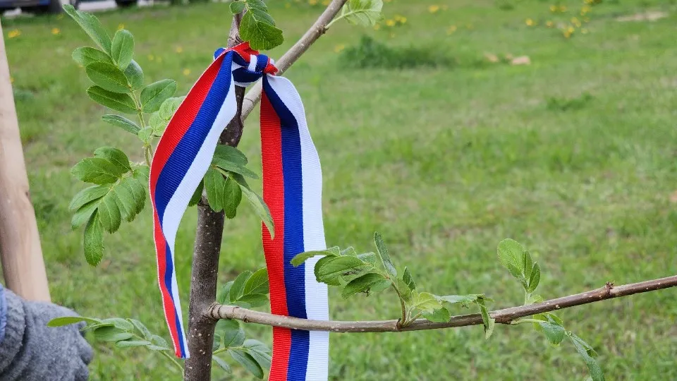 Фото: МедиаБанк Подмосковья/Иван Петрушин