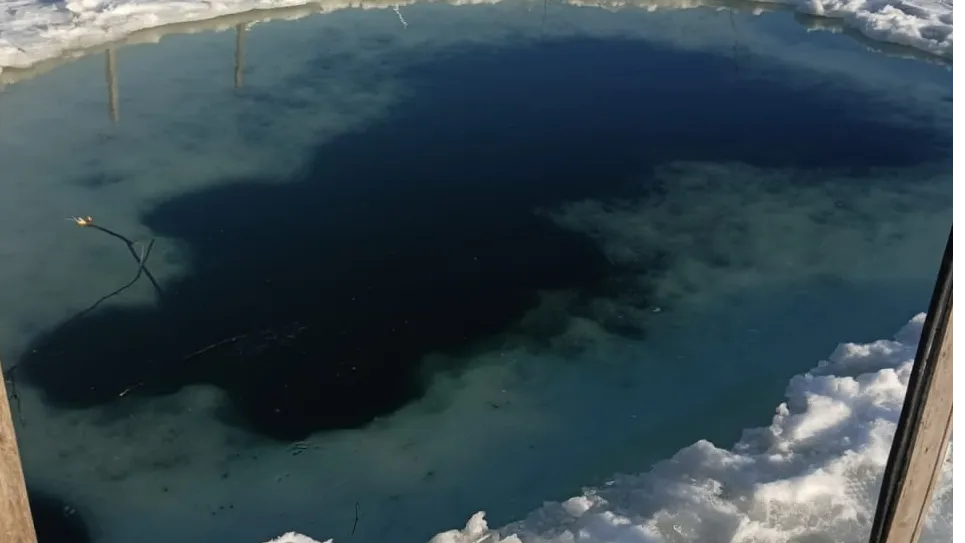 фото: Telegram-канал "Парки Краснознаменска"