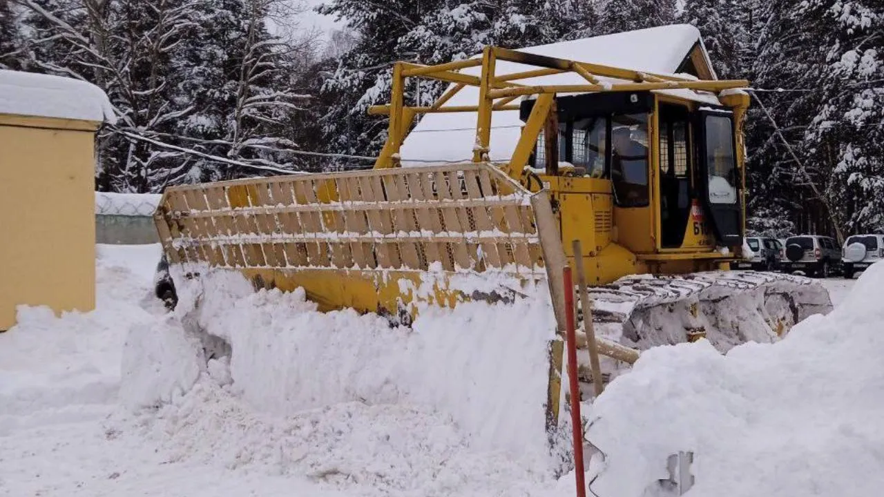 Комитет лесного хозяйства Московской области