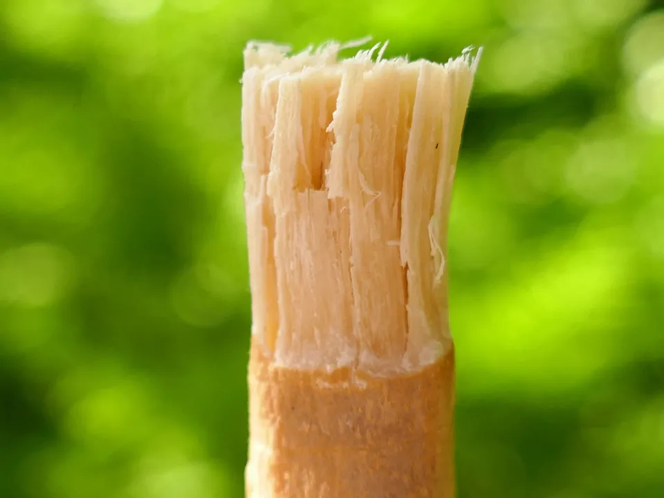 Фото: istockphoto.com