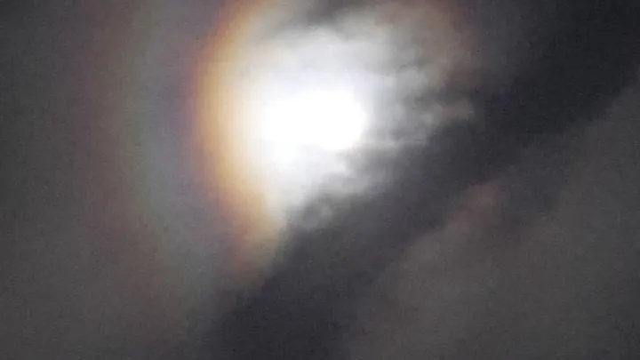 фото: Кристина Бобкова