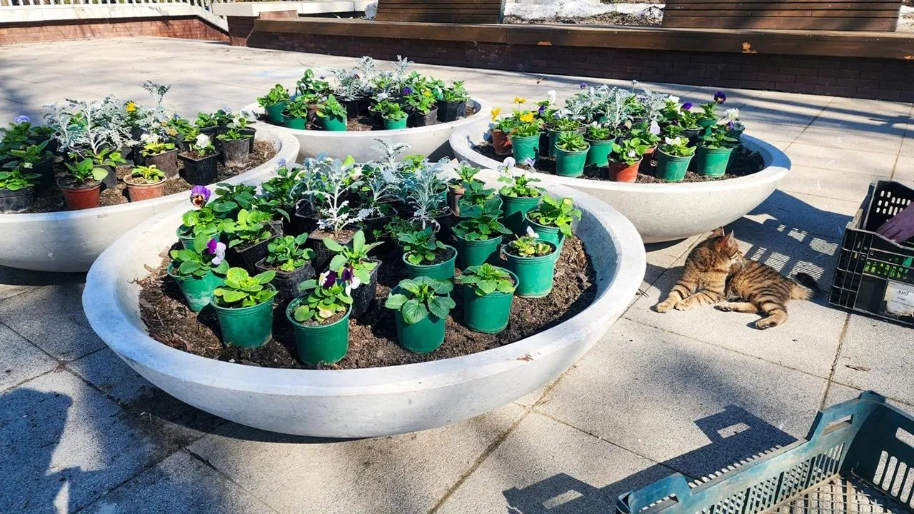 REGIONS/Мария Панина