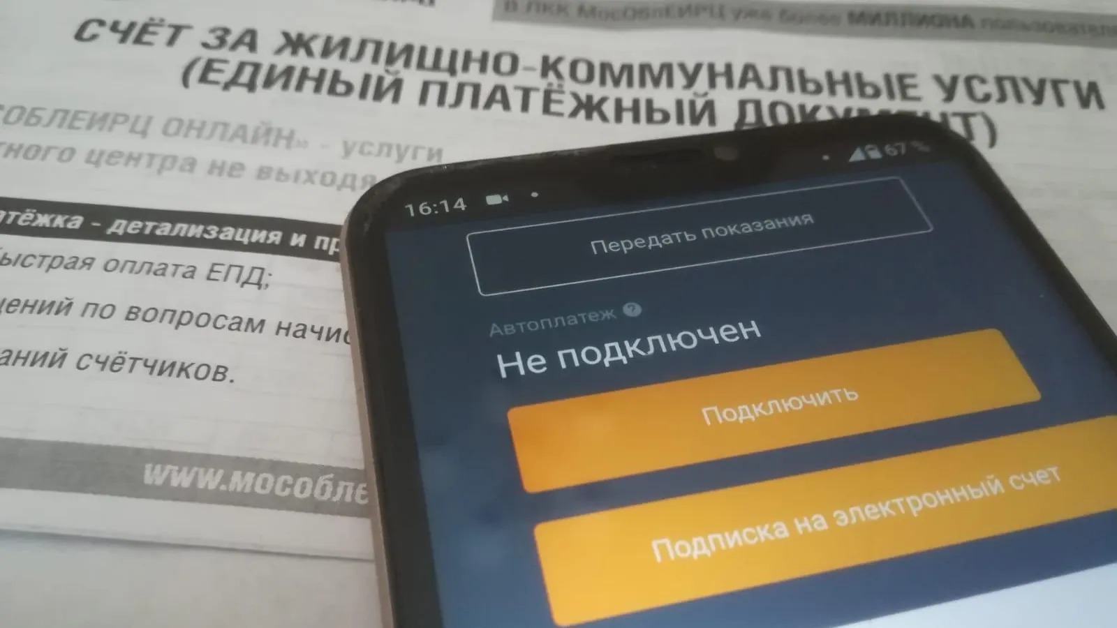 Фото: Татьяна Синельникова