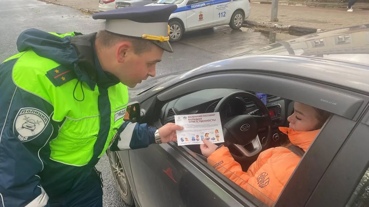 Источник: пресс-служба ГИБДД по городскому округу Павловский Посад