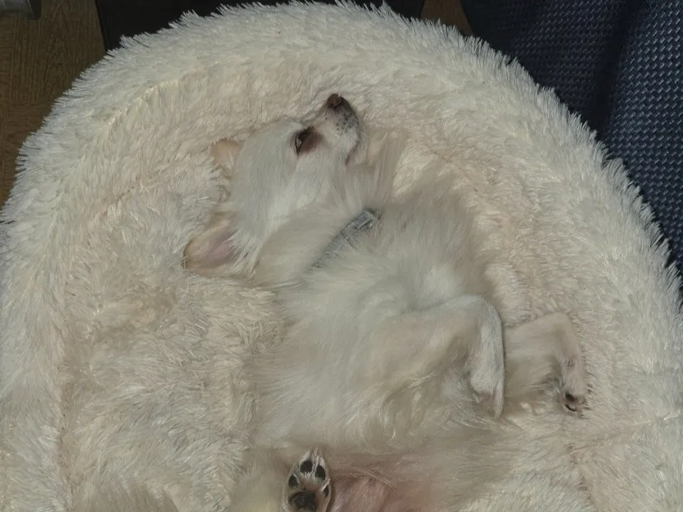 Фото: Ирина Комогорова