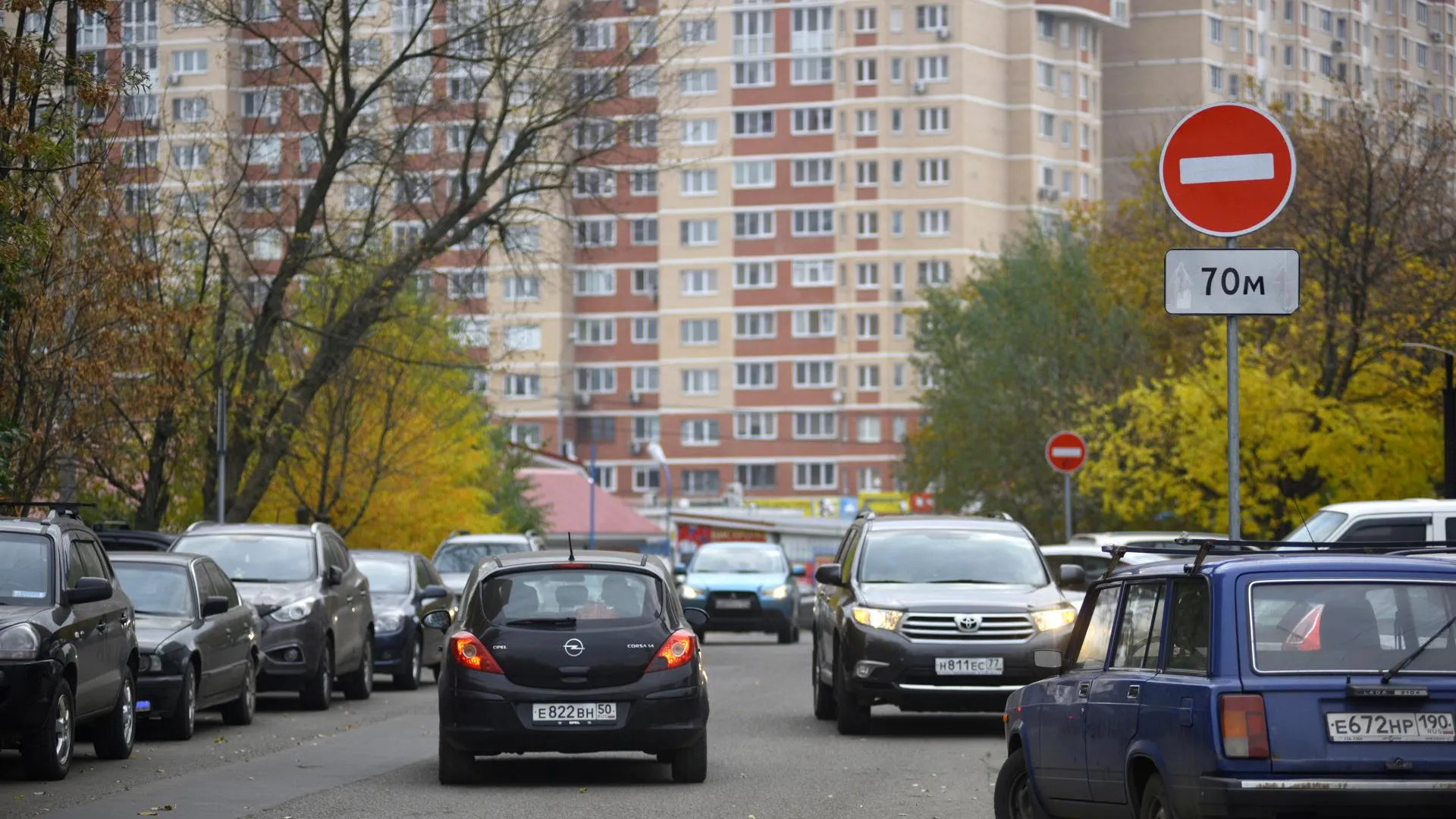 Фото: Медиаархив Подмосковья