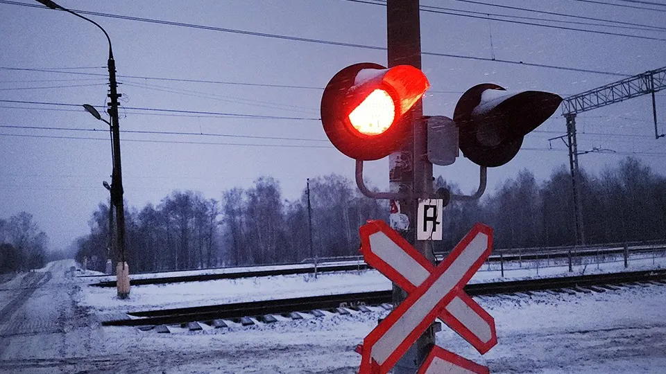 Фото: МедиаБанк Подмосковья/Андрей Семибратов