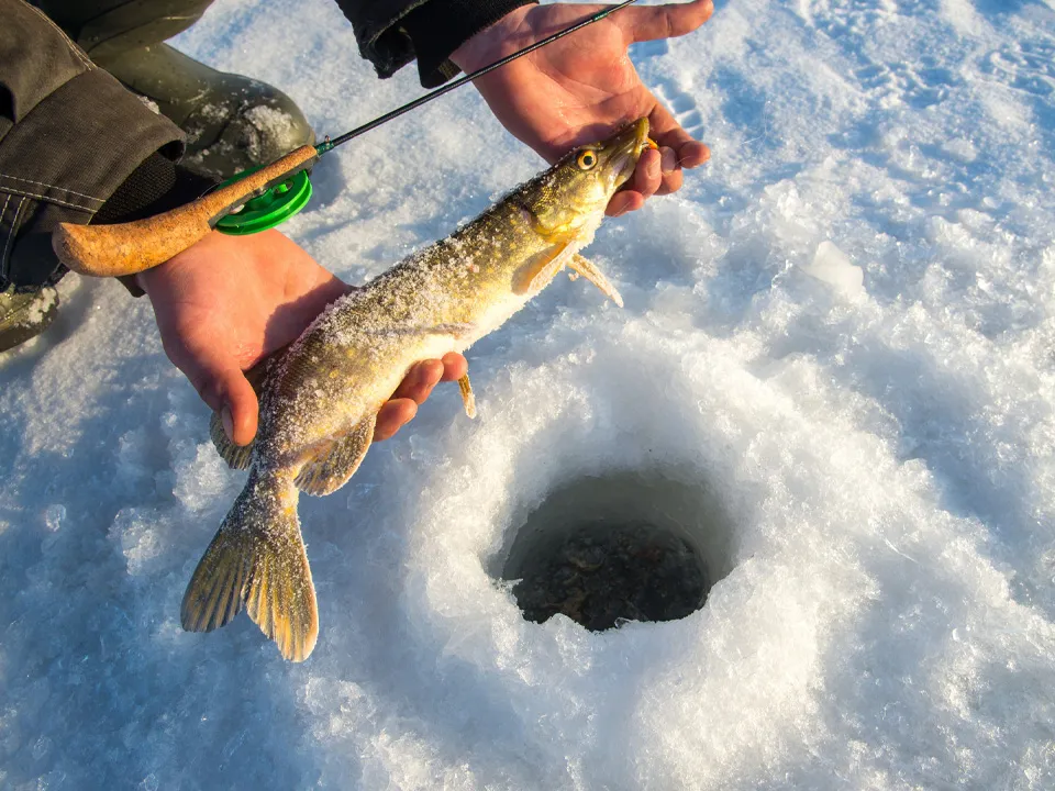 Фото: istockphoto.com/cash14&nbsp;