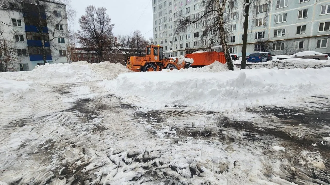 REGIONS/Мария Панина