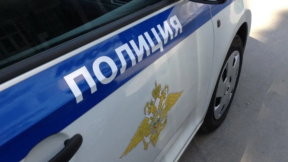 Фото: ОМВД России по г.о. Жуковский