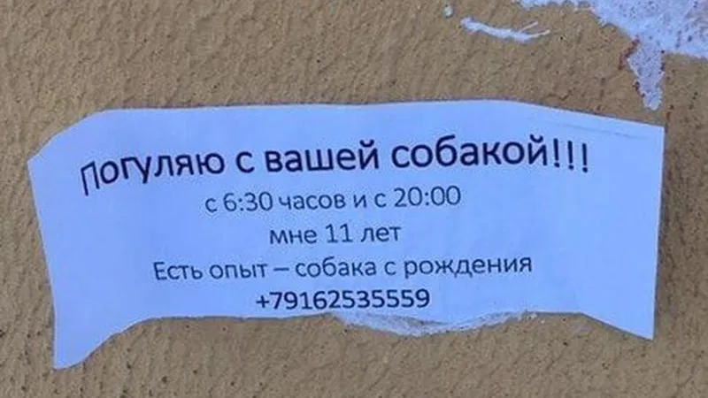 Ребенок из Одинцова организовал бизнес по выгулу собак