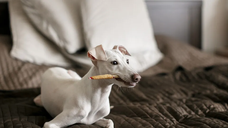 Фото: freepik.com