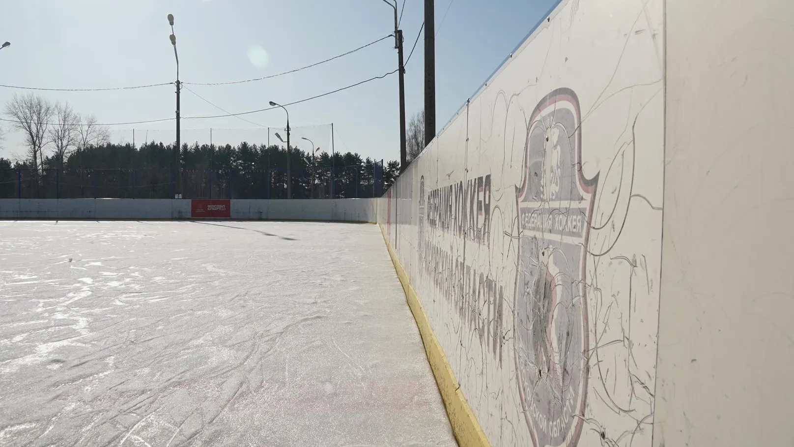 Алёна Притула