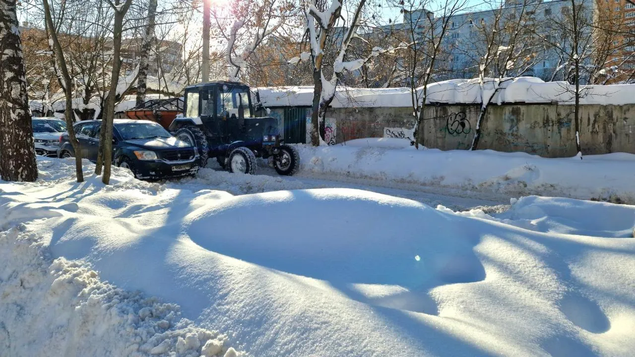 Виктория Фортуна