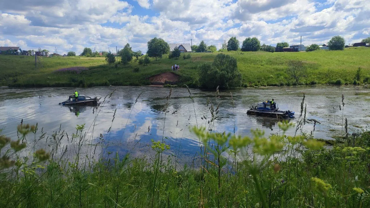 Фото: пресс-служба администрации Дмитровского г.о.