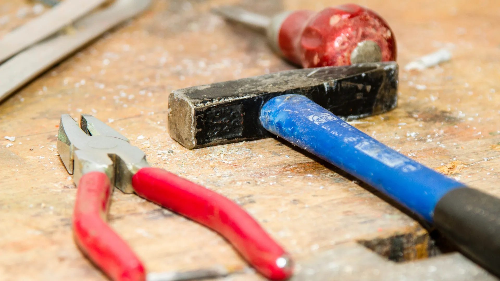 Фото: pxhere.com