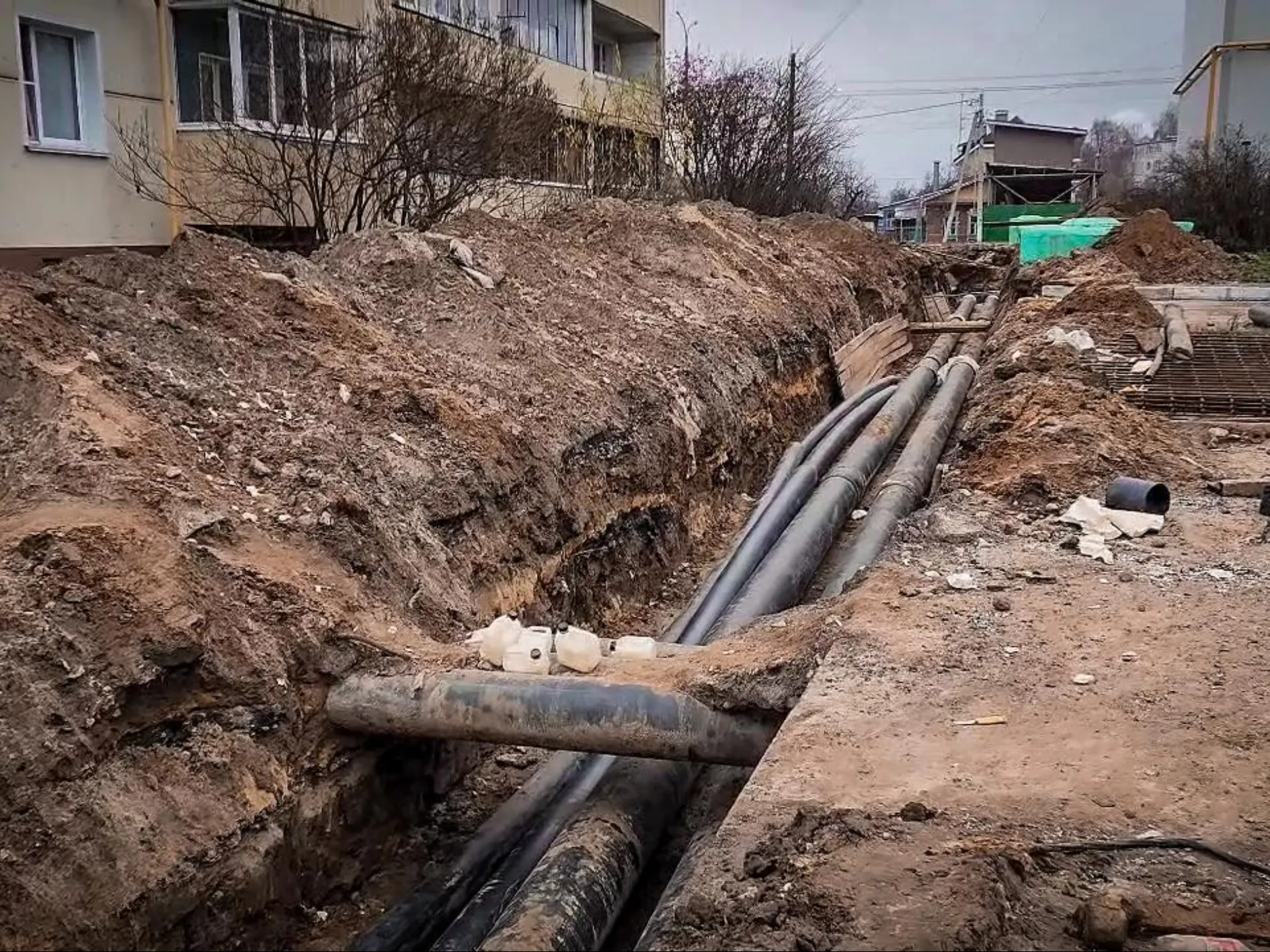 Фото: МедиаБанк Подмосковья/Ольга Антонова