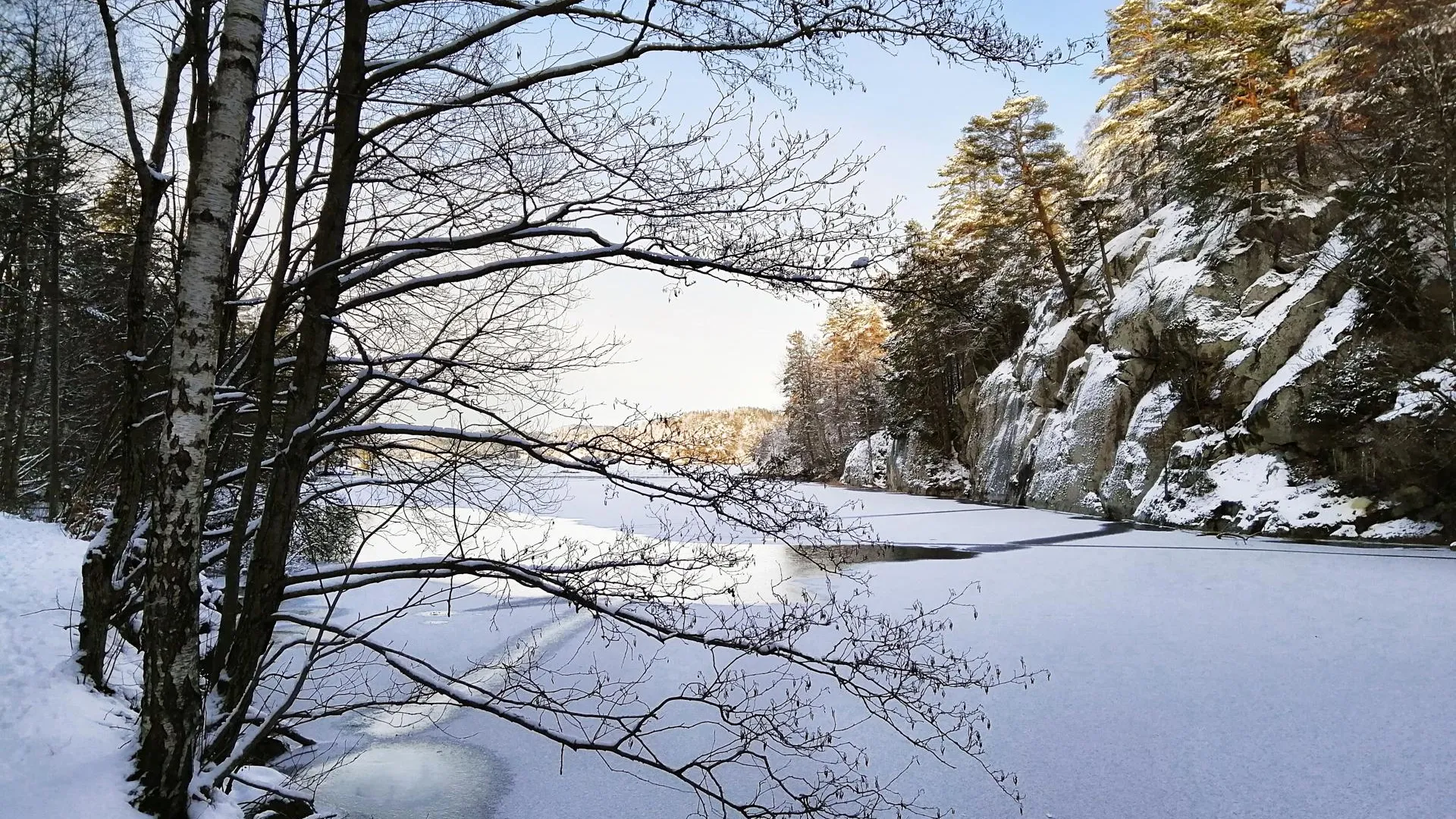 медиасток.рф