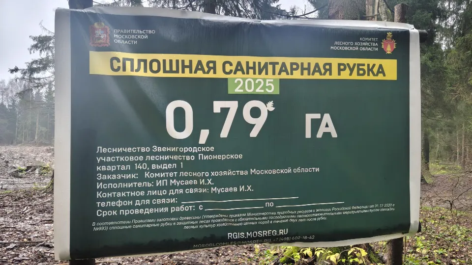 Фото: REGIONS/Сергей Орлов