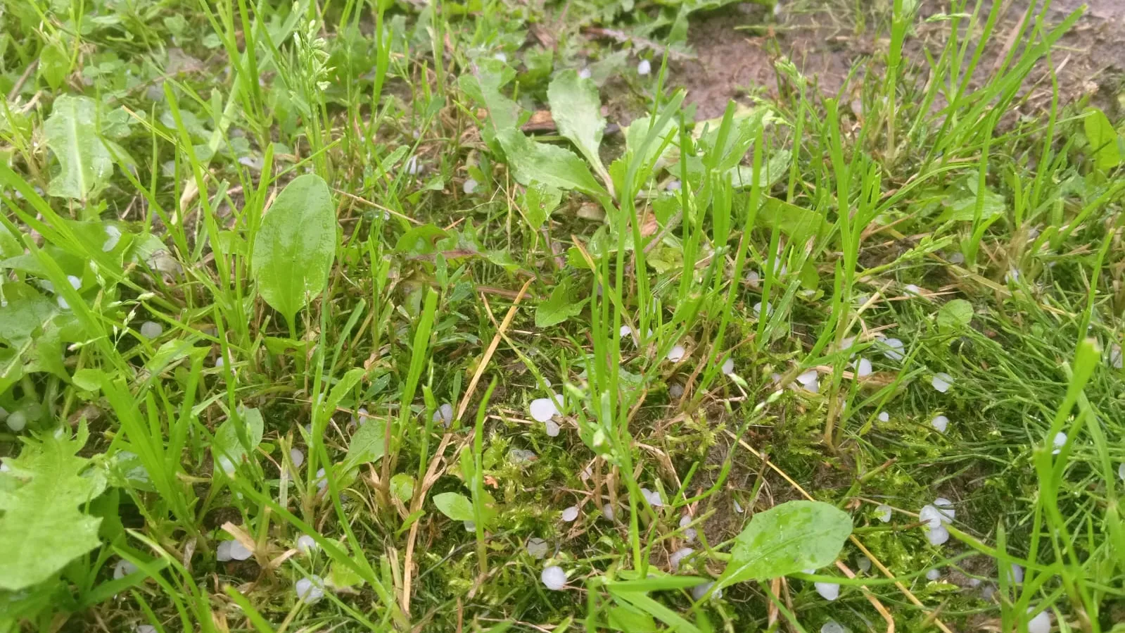 Фото: REGIONS/Василий Тремасов