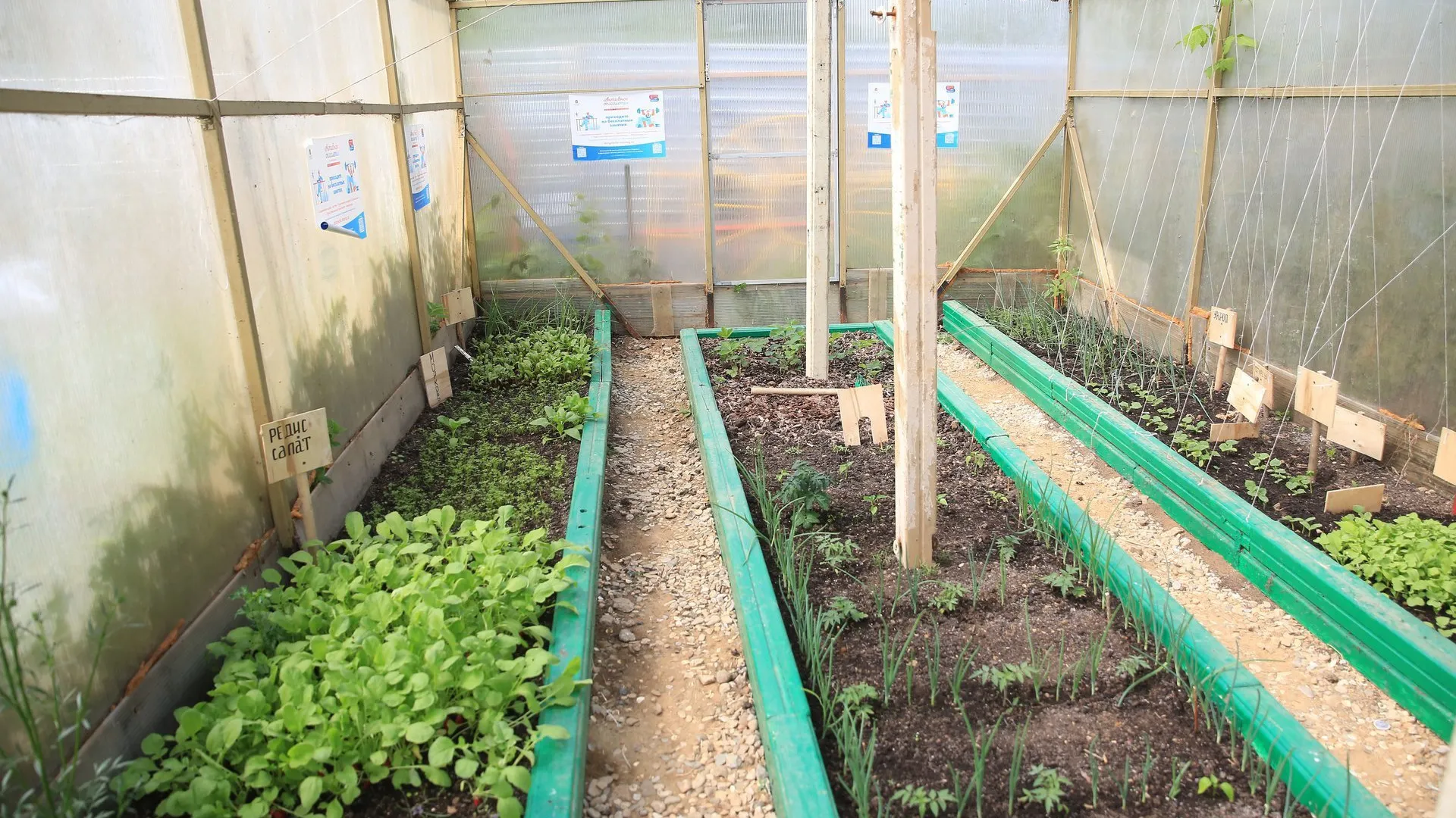 Фото: пресс-служба администрации г.о. Долгопрудный