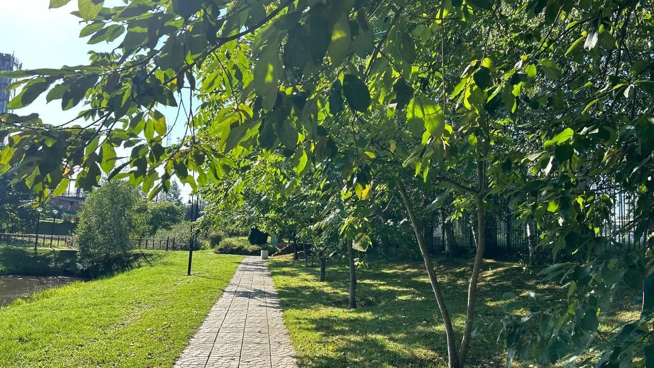 Фото: администрация м.о. Шаховская