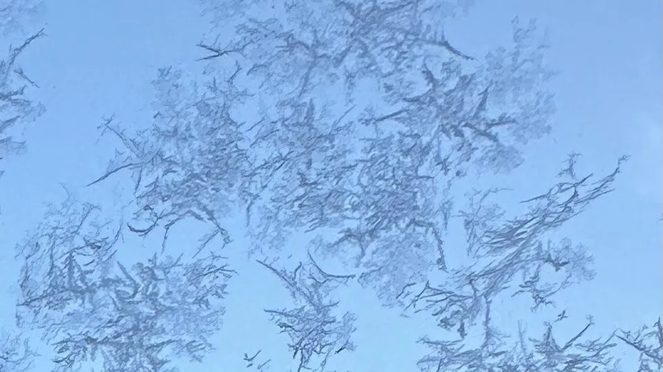 Фото: REGIONS/Александра Серова