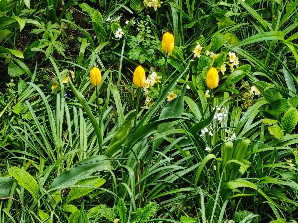 Фото: REGIONS/Максим Зубарев