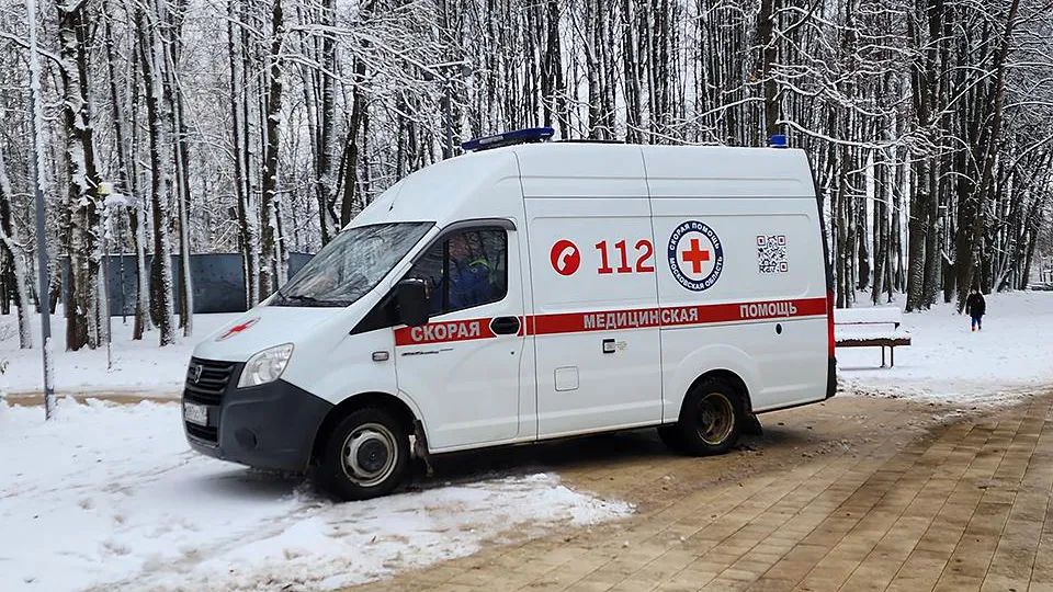 Фото: МедиаБанк Подмосковья/Анна Шолохова