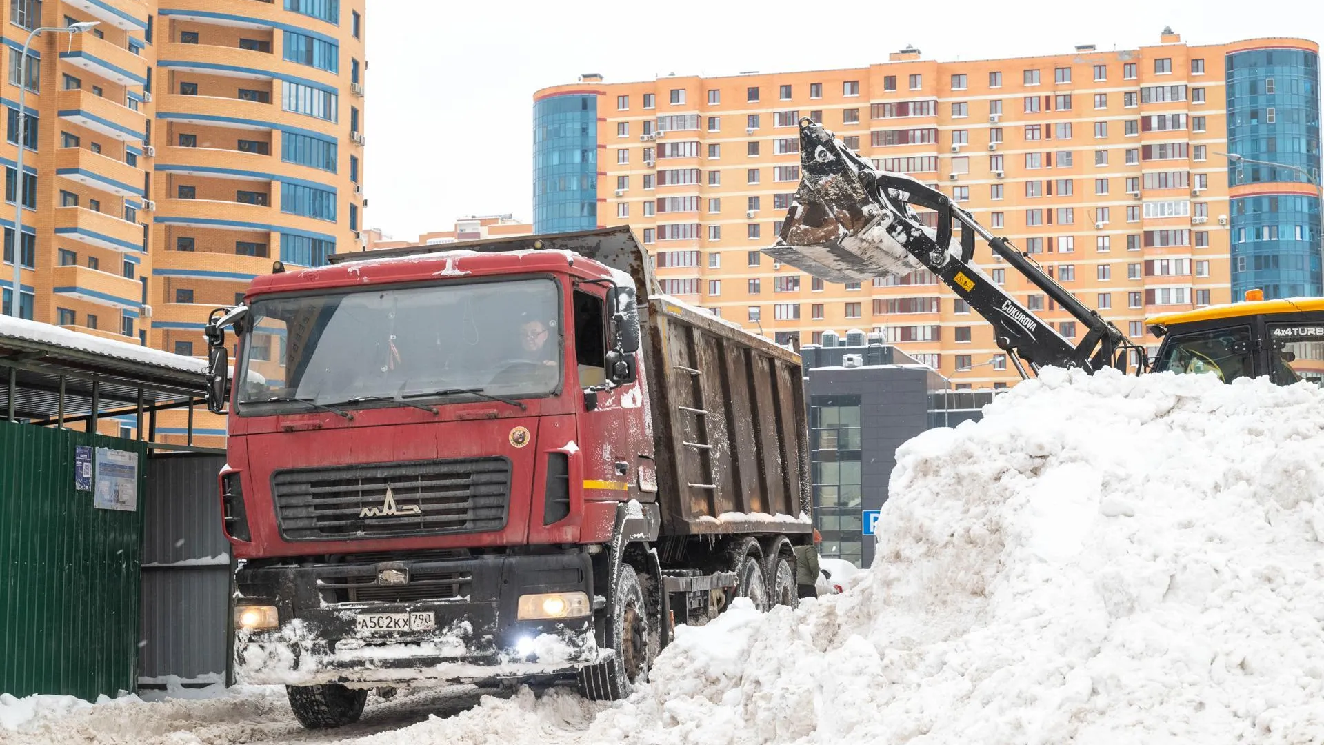 Фото: Мария Овчинникова