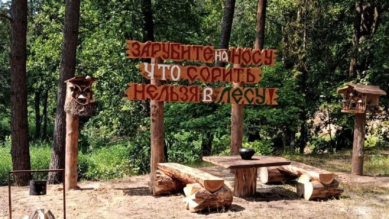 Творческий конкурс на самое оригинальное место отдыха в лесу стартовал в Подмосковье