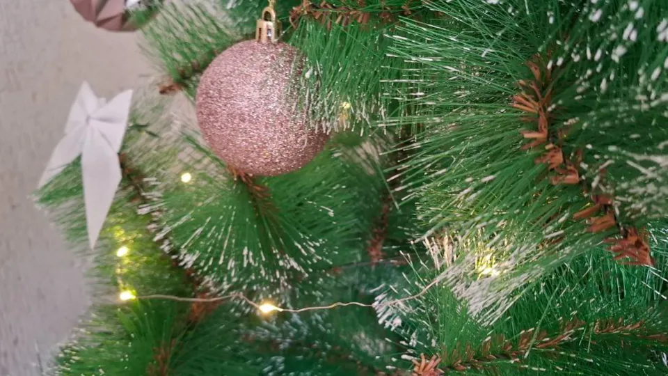 Фото: REGIONS/Юлия Габбасова