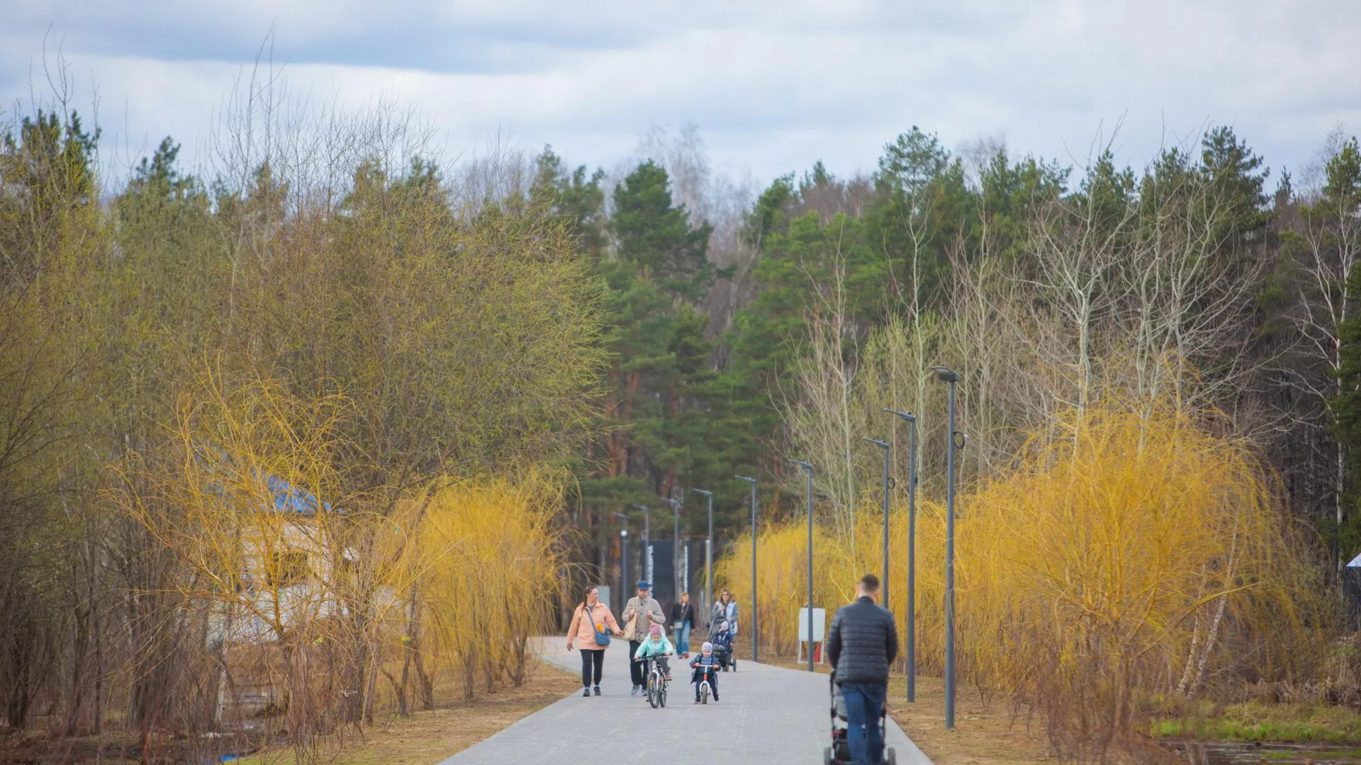 Министерства благоустройства Московской области