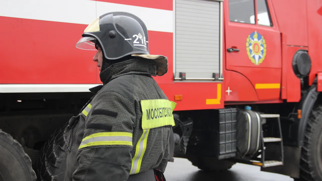 REGIONS/Василий Тремасов