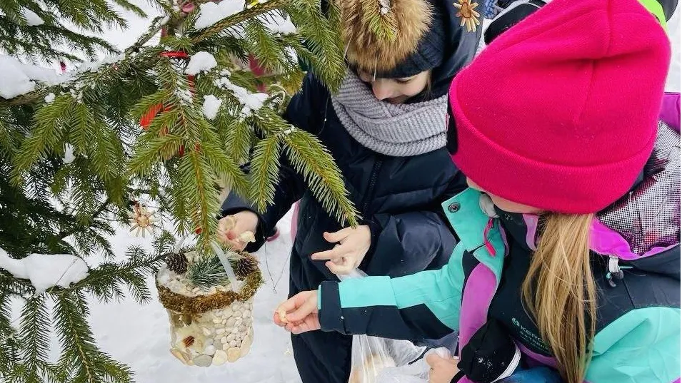 Фото: Парки Ступино