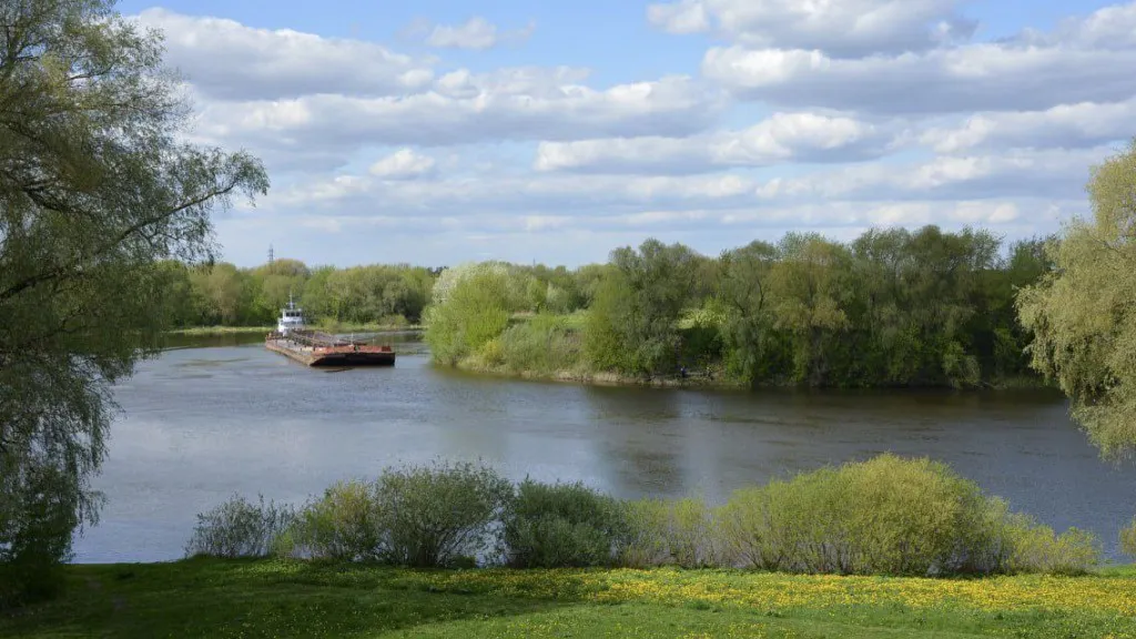 Фото: Алексей Воронин