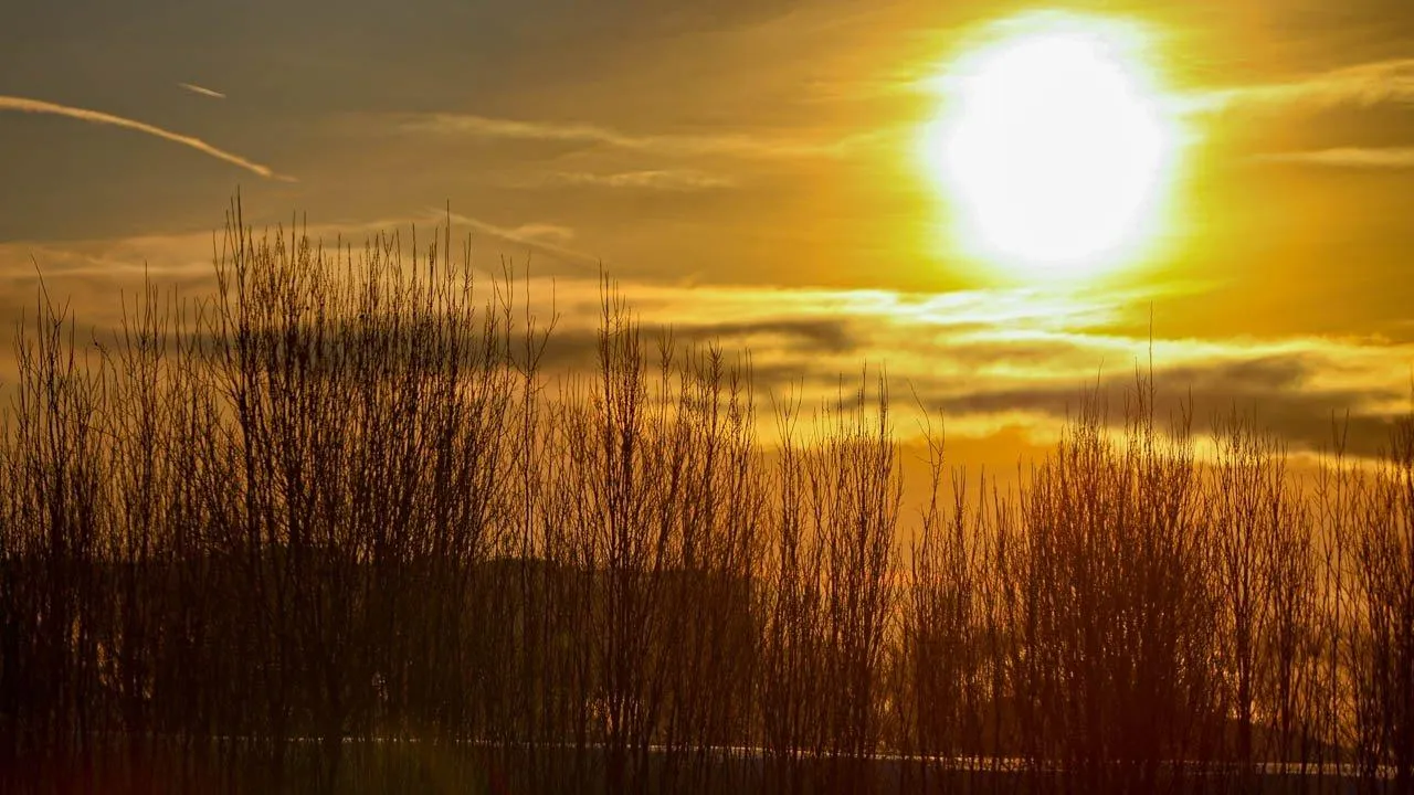 Апрельские сугробы расстаят: синоптики назвали дату потепления в Подмосковье