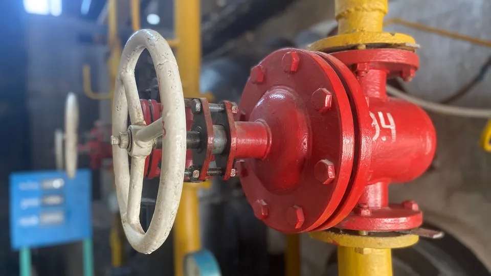 Фото: МедиаБанк Подмосковья/Юлия Лысихина