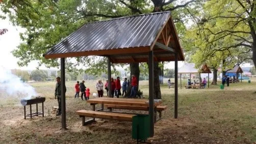 Фото: Комитет лесного хозяйства МО