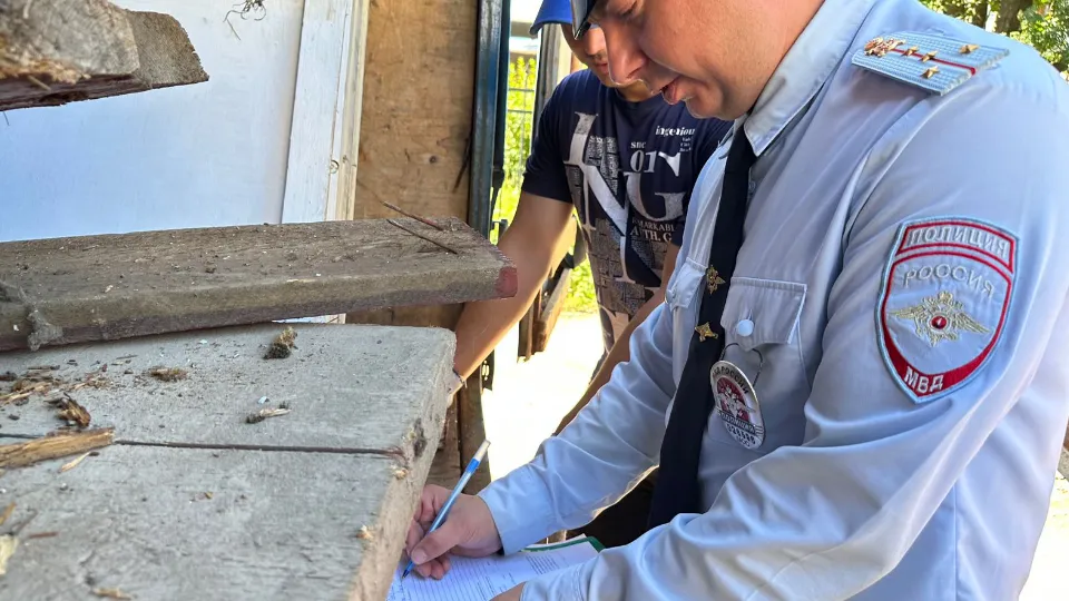 Фото: МедиаБанк Подмосковья/Лилия Закирова