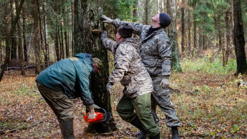 Фото: пресс-служба администрации г.о. Кашира