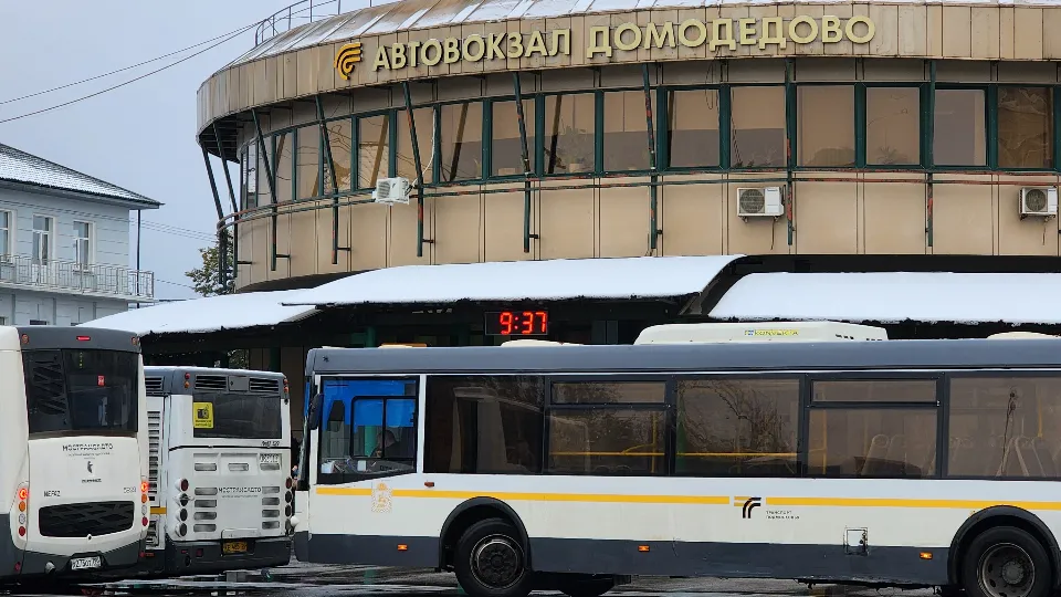 Фото: МедиаБанк Подмосковья/ Анастасия Сараева