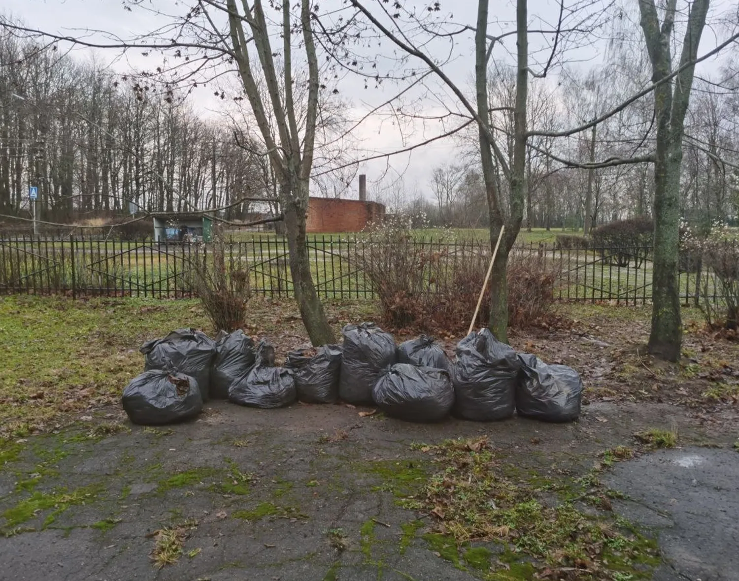 Фото: пресс-служба администрации м.о. Зарайск