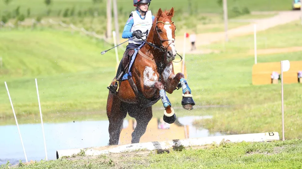 Фото: конно-спортивный комплекс «Maxima Park»